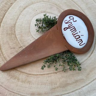 🪴 Rodové jméno Thymus je odvozeno od řeckého slova Thymon, znamenajícího odvahu. Římští vojáci se koupali v tymiánové...